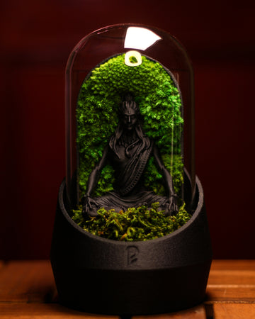 Shiva's Dome Terrarium