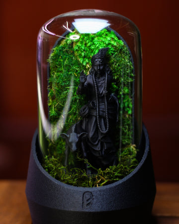 Krishna's Dome Terrarium
