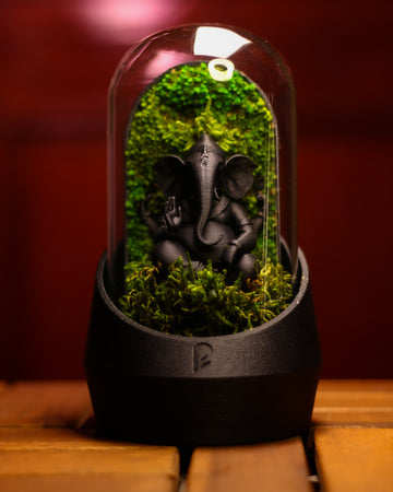 Ganesha's Dome Terrarium Black