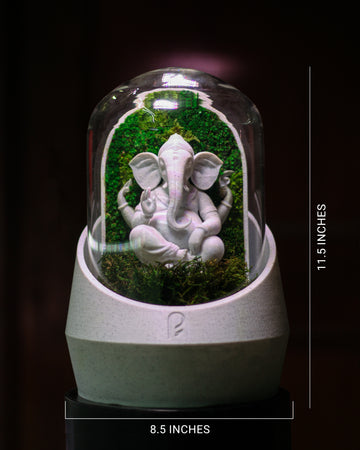 Ganesha's Dome XL