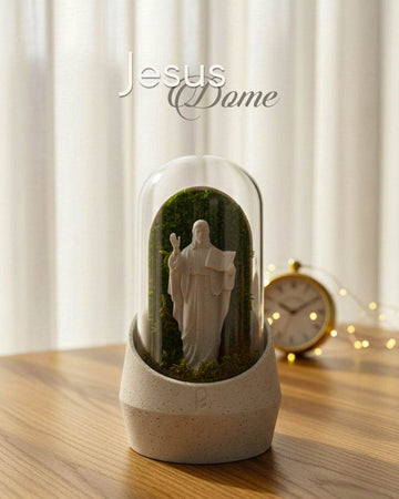 Jesus's Dome Terrarium - Perfect Plants