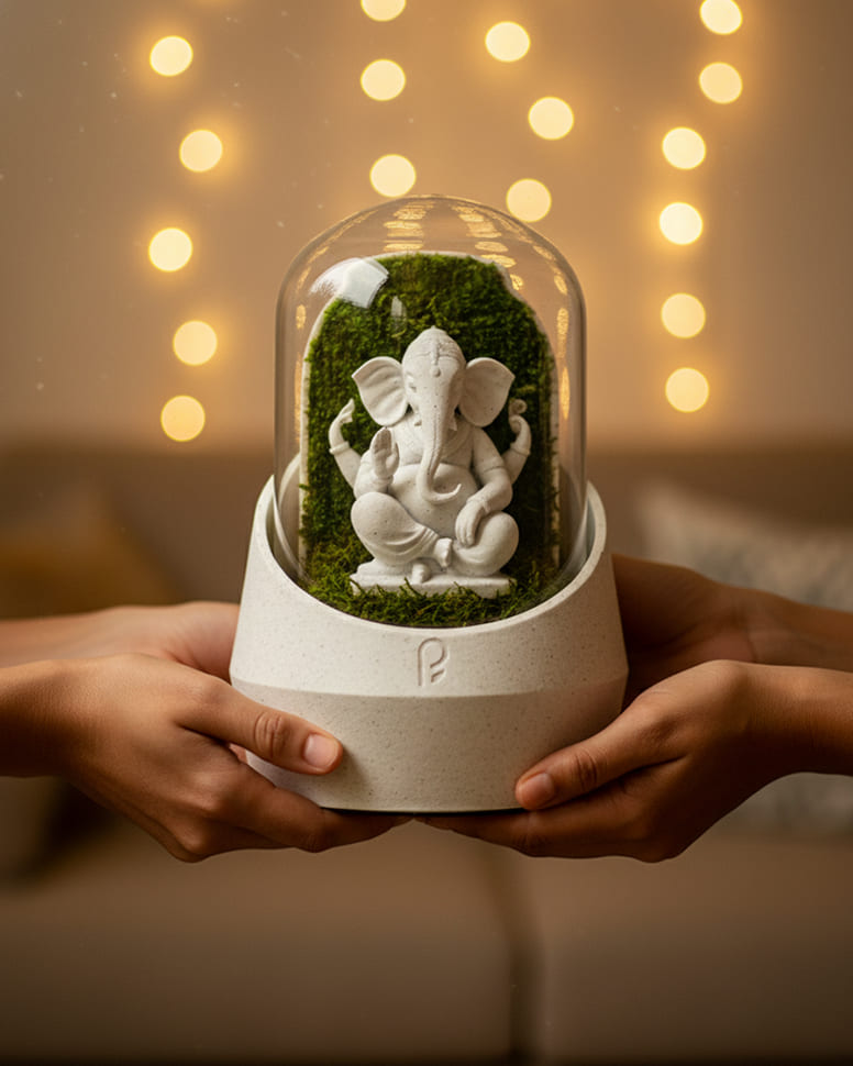 Ganesha's Dome XL