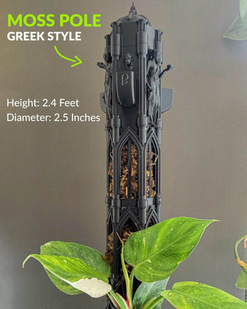 Perfect Moss Pole Greek Style - Ideal Support for your Plants - Perfect Plants
