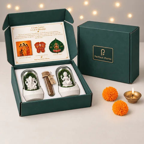 Ayodhya Ashirwad Diwali Box