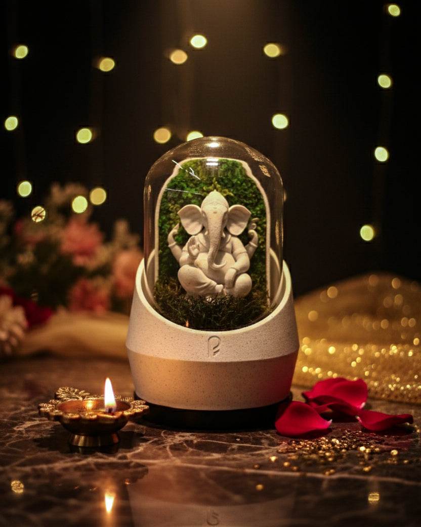 Ganesha's Dome XL