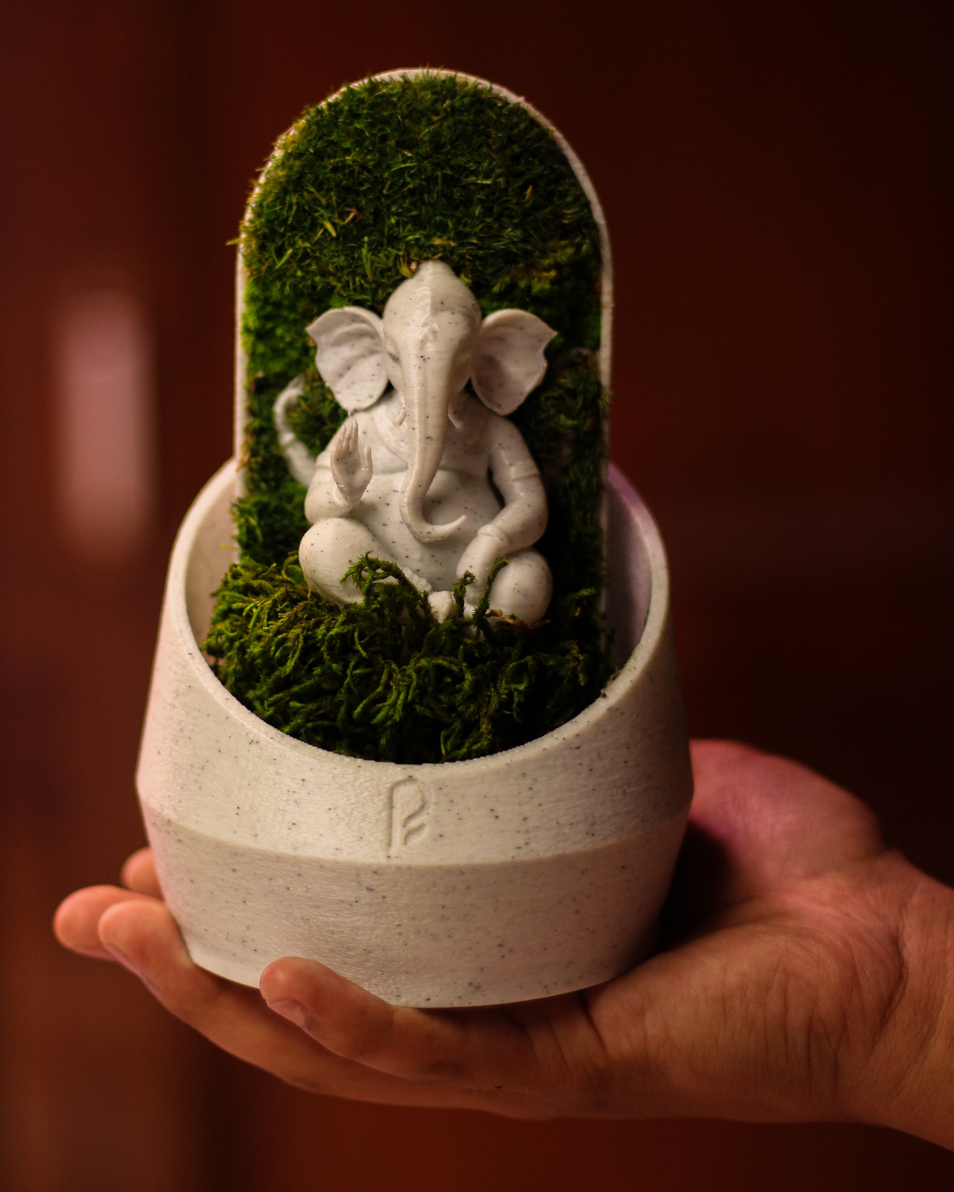 Ganesha's Dome Terrarium