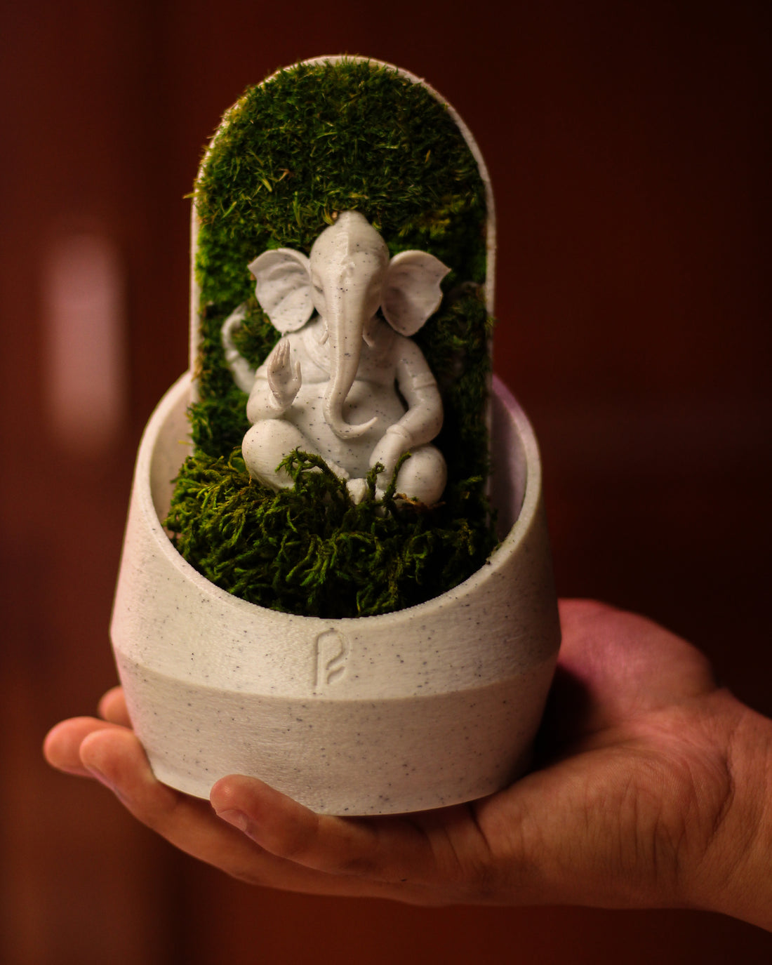 Ganesha's Dome Terrarium