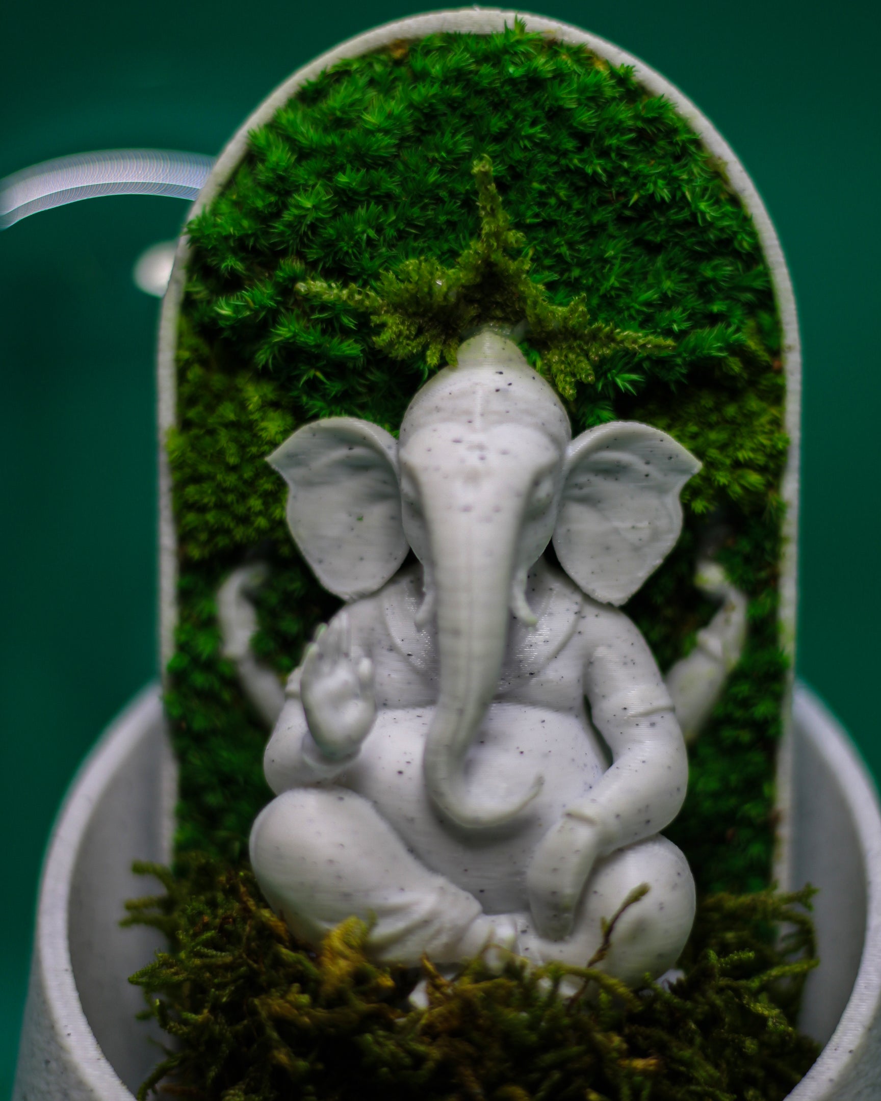 Ganesha's Dome Terrarium