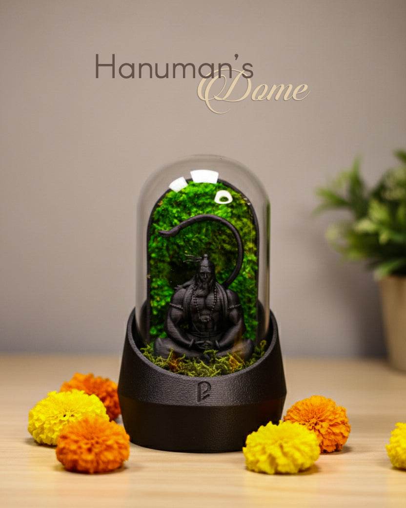 Hanuman's Dome Terrarium