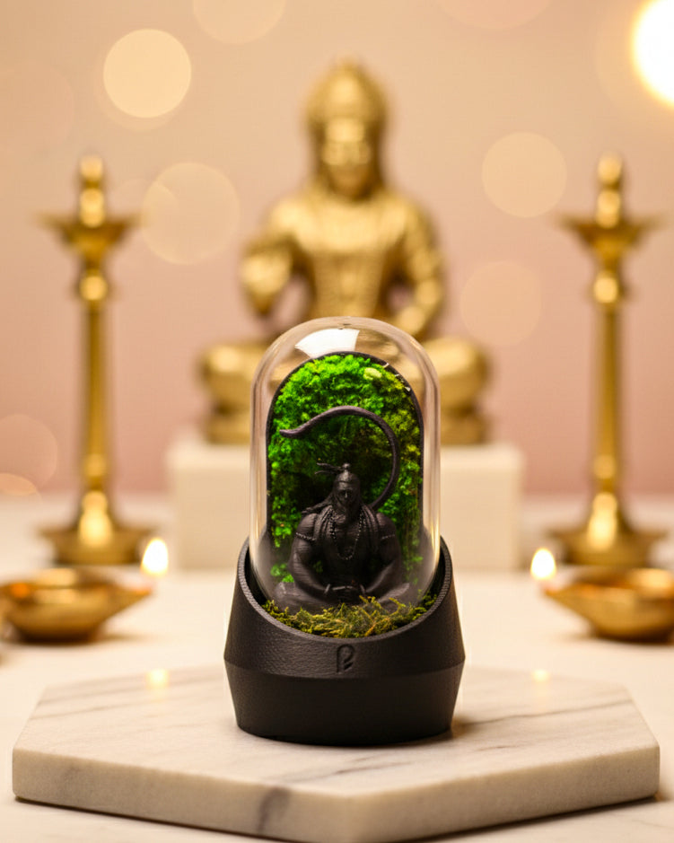 Hanuman Dome gifted