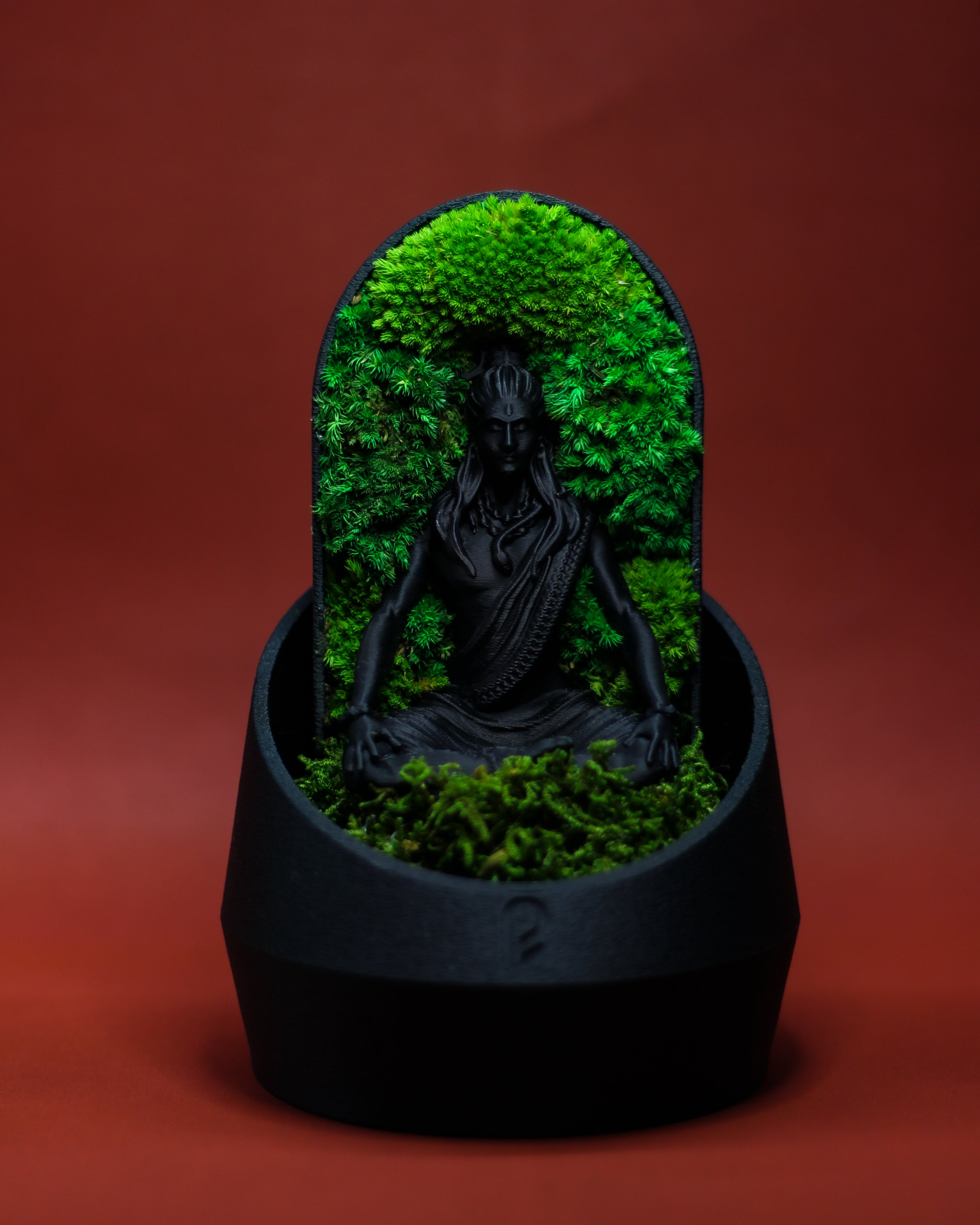 Shiva's Dome Terrarium