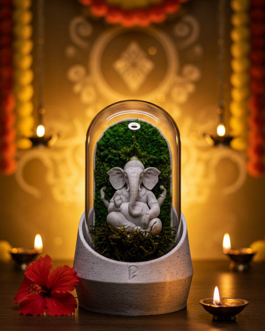 Ganesha's Dome Terrarium - Perfect Plants