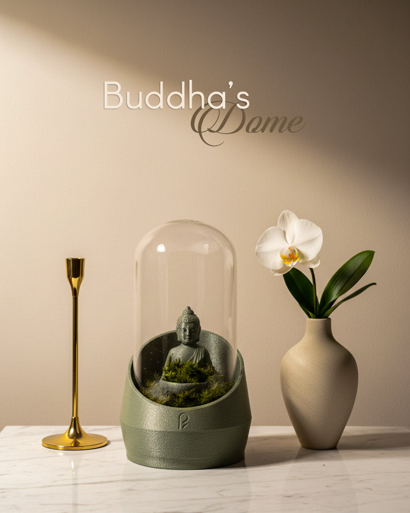 Buddha's Dome - Live terrarium