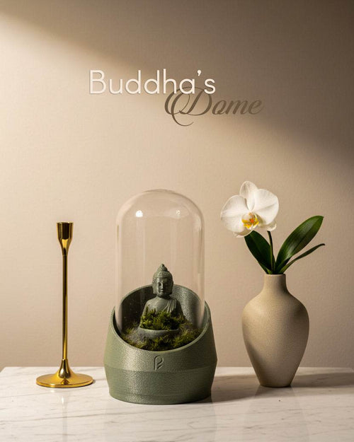 Buddha's Dome - Live terrarium - Perfect Plants