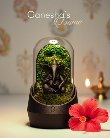 Ganesha's Dome Terrarium Black