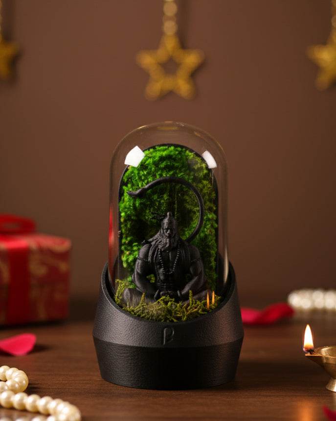 Hanuman's Dome Terrarium - Perfect Plants