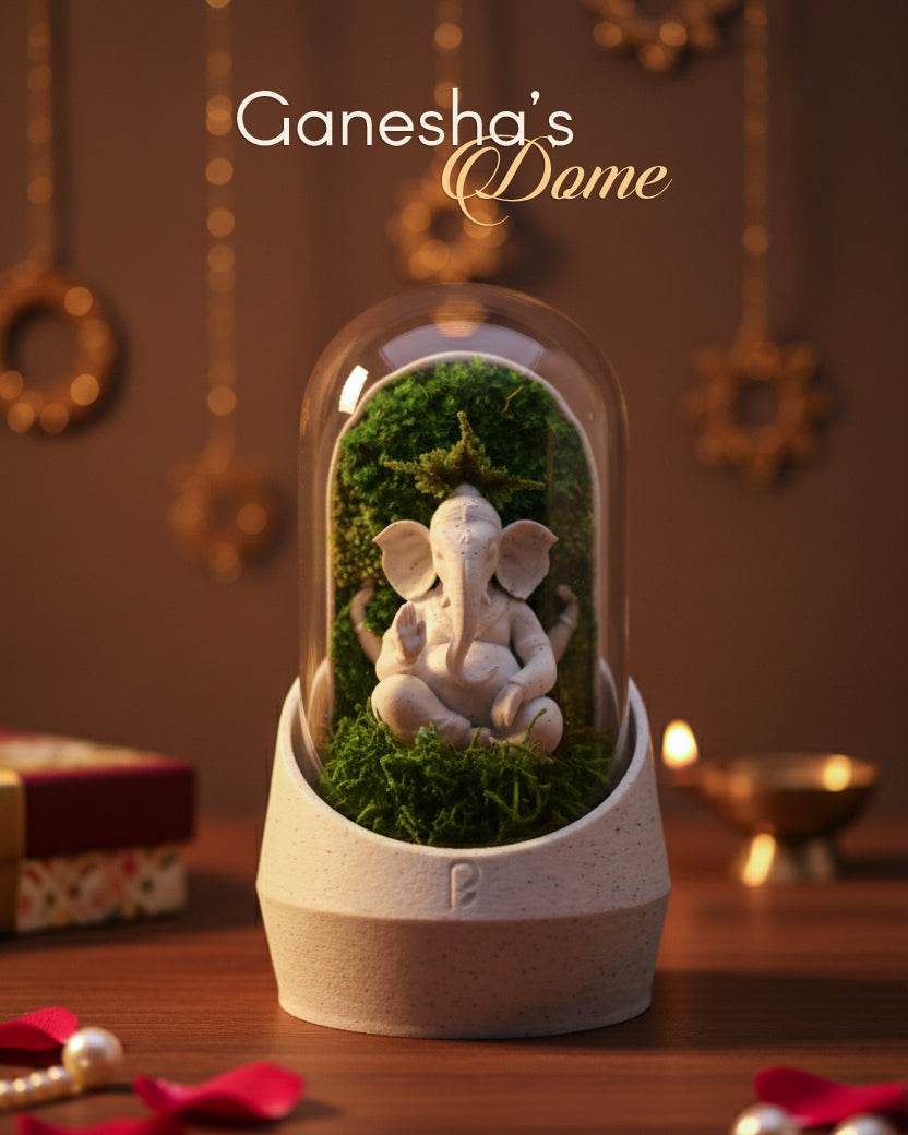 Ganesha's Dome Terrarium - Perfect Plants