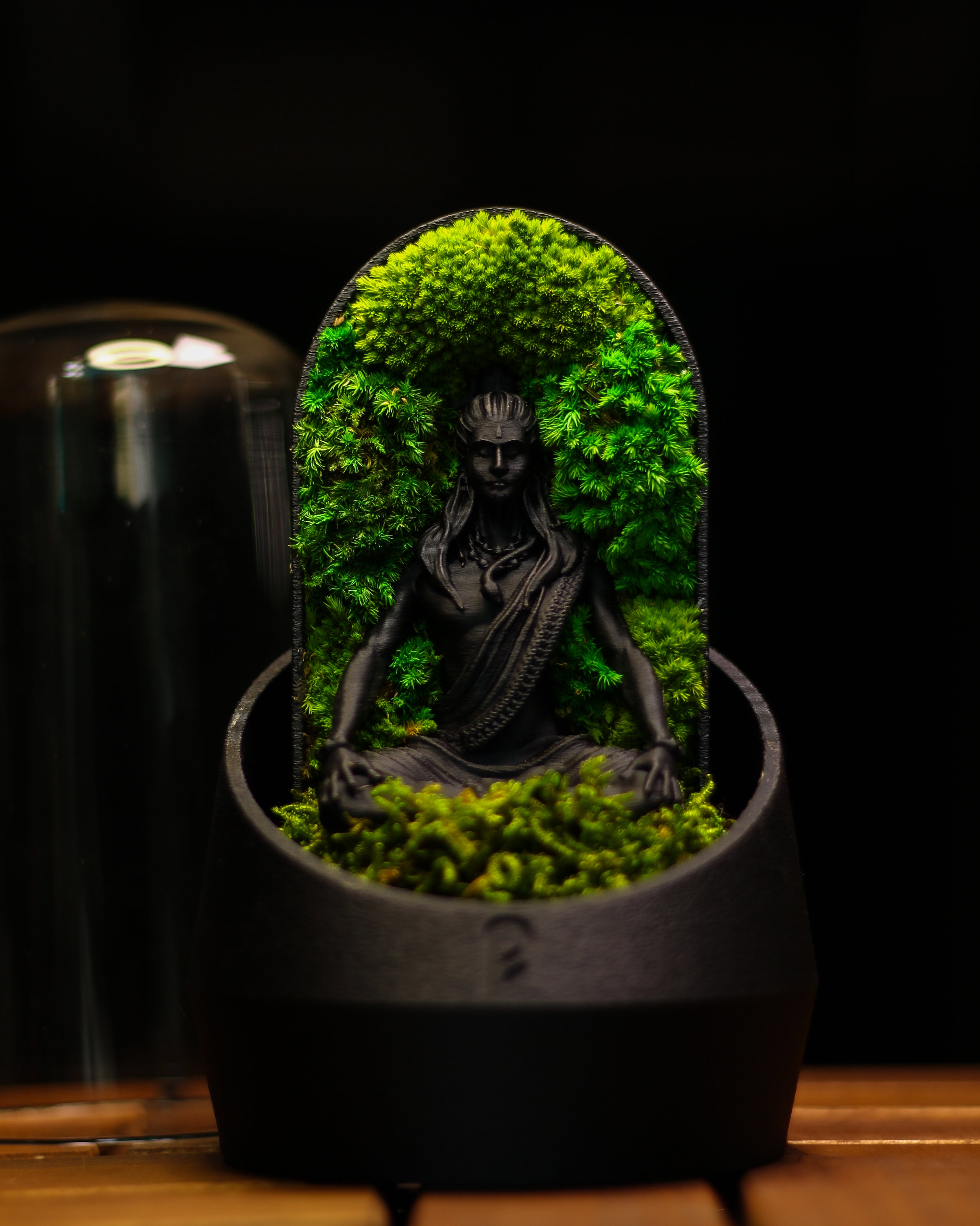 Shiva's Dome Terrarium