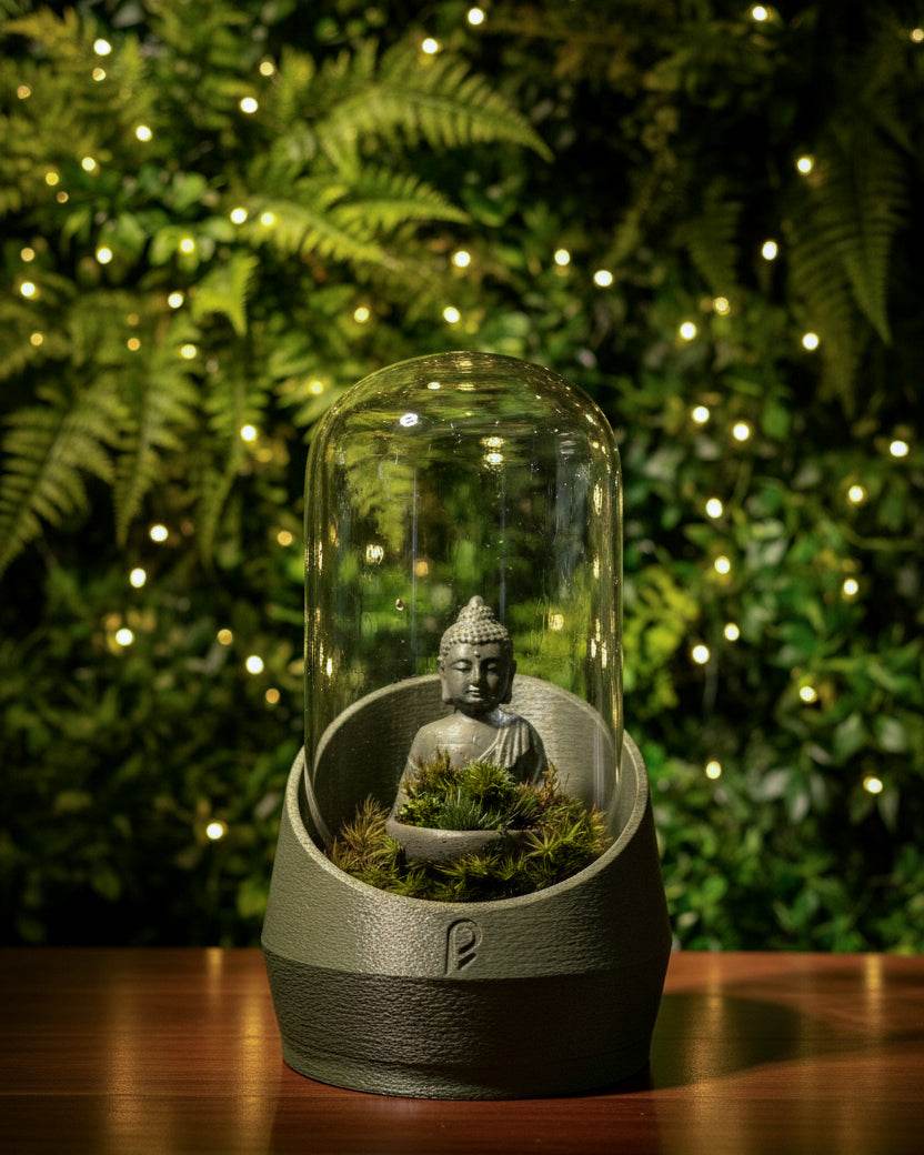 Buddha's Dome - Live terrarium - Perfect Plants
