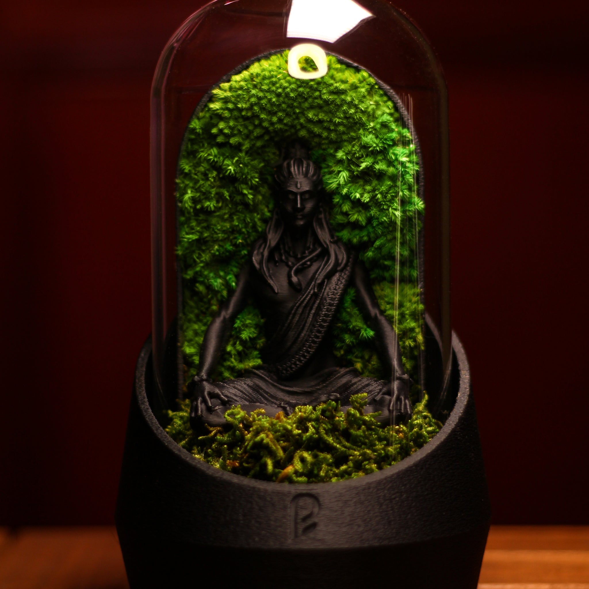 Shiva's Dome Terrarium