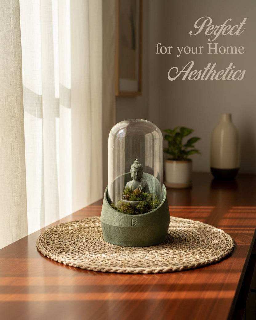 live plant terrarium Buddha's Dome - Spiritual Terrarium for Tranquility