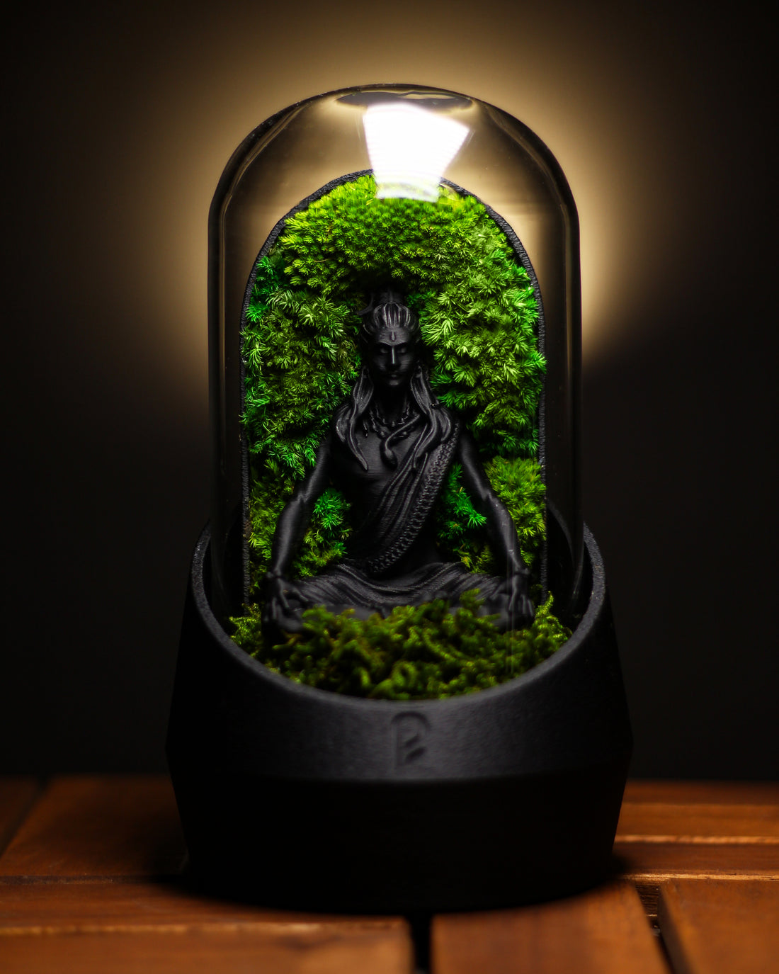 Shiva's Dome Terrarium