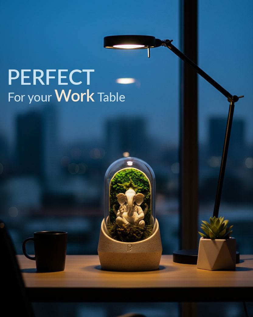 Ganesha's Dome Terrarium - Perfect Plants
