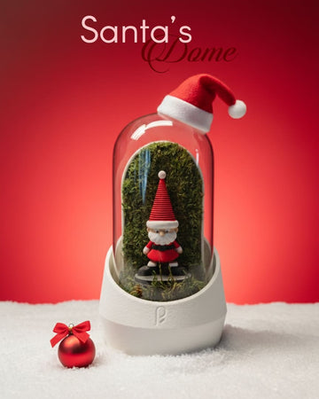 Santa's Dome Terrarium