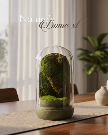 Nature's Dome XL