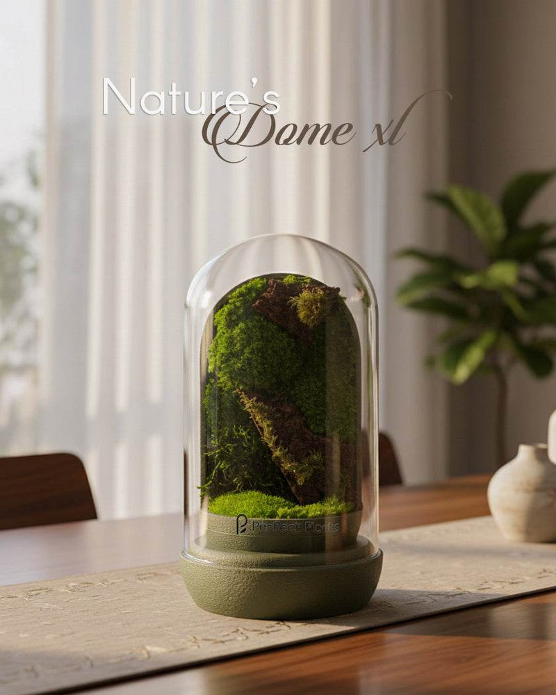 Nature's Dome XL - Perfect Plants
