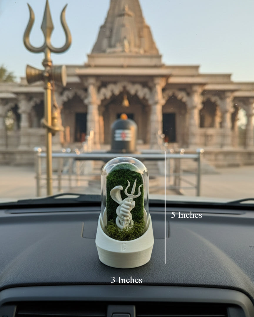 Mahadev's Car Dome with Aromatherapy Edition - beautiful terrarium with vibrant greenery and soothing scents.