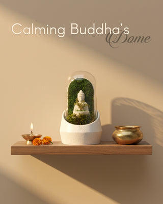 Calming Buddha's Dome terrarium featuring an intricate Buddha statue surrounded by lush greenery.
