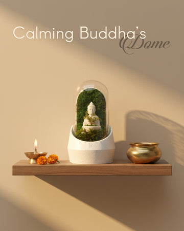 Calming Buddha's Dome