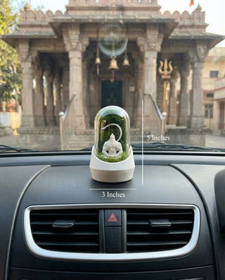 Hanuman's Car Dome with Aromatherapy Edition - beautiful terrarium featuring lush plants and calming scents.