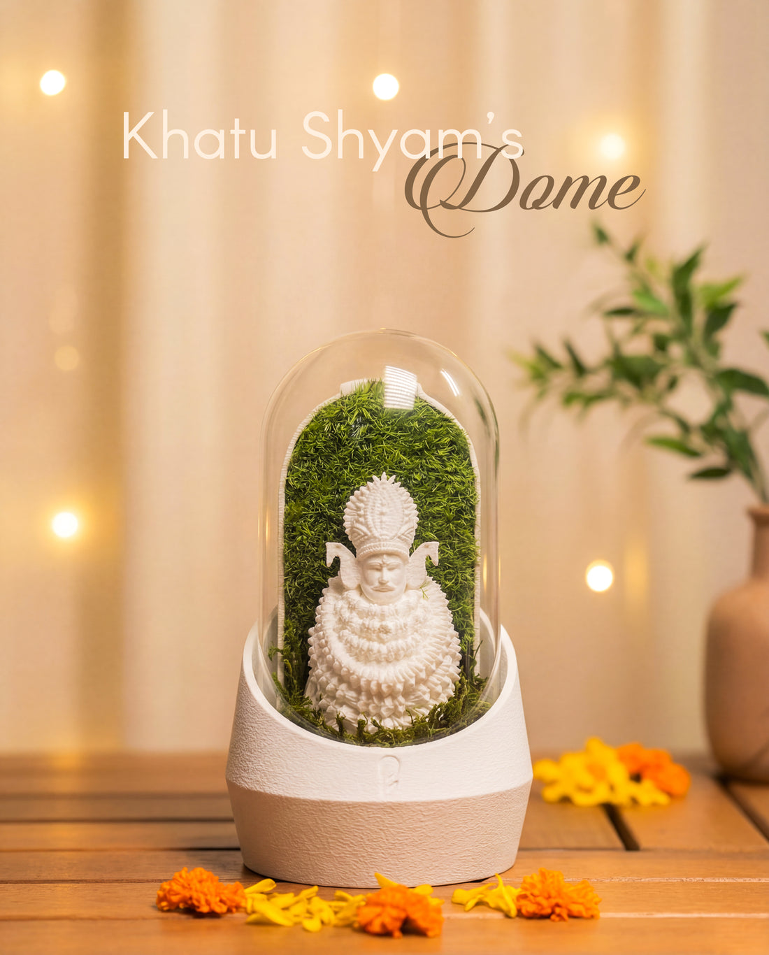 Khatu Shyam's Dome terrarium featuring lush green plants under a glass dome.