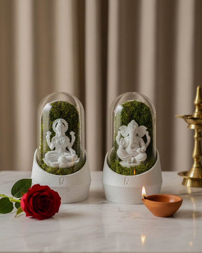 Laxmi Mata & Ganesha's Combo [Diwali Special] - Perfect Plants