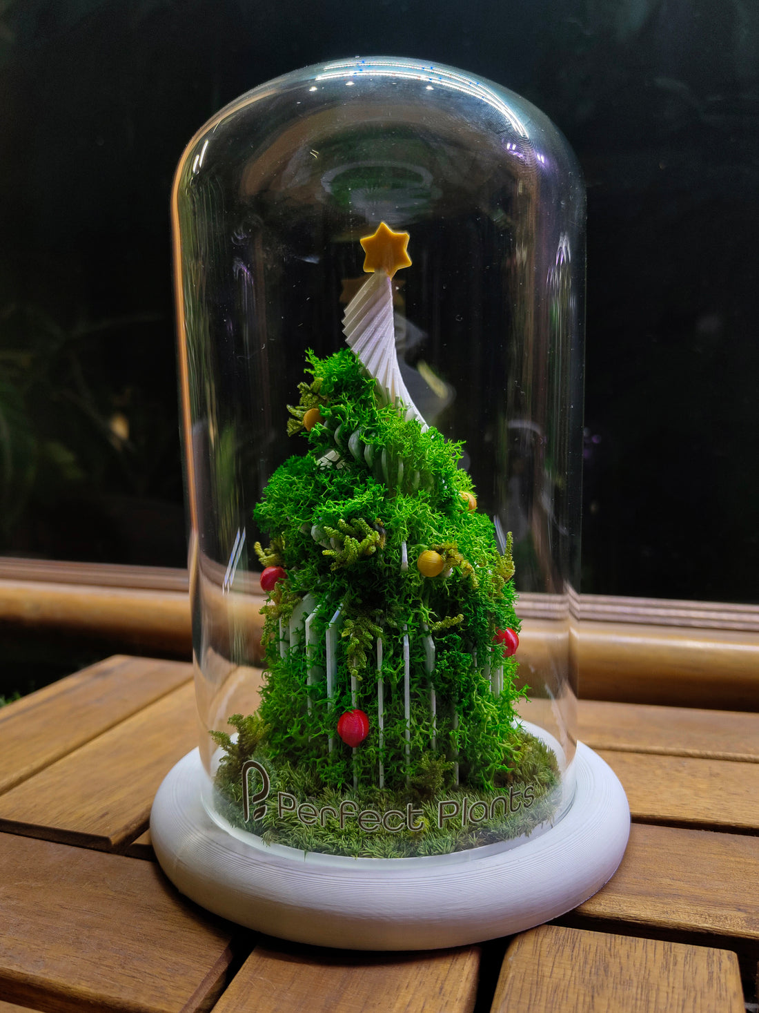 Christmas Dome - Perfect Terrarium