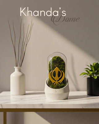 Khanda's Dome terrarium featuring vibrant green plants in a glass dome.