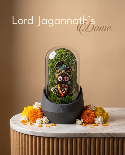 Lord Jagannath's Dome