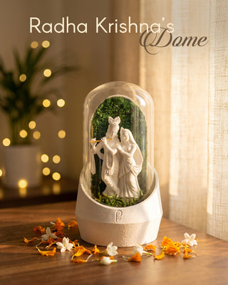 Radha Krishna's Dome