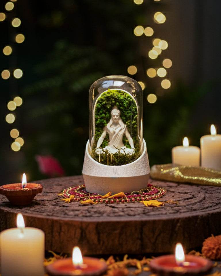 Shiva's Dome Terrarium - Perfect Plants