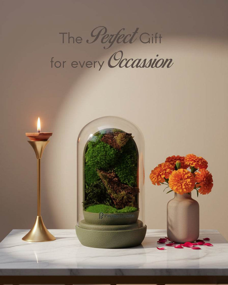 Nature's Dome XL - Perfect Plants