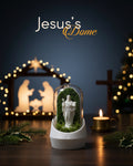 Interior view of Jesus's Car Dome with Aromatherapy Edition featuring aromatic plants and calming ambiance.