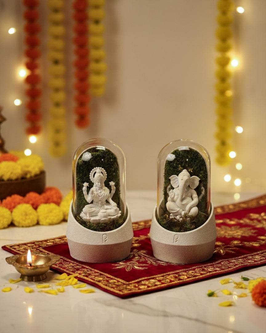 Laxmi Mata & Ganesha's Combo [Diwali Special] - Perfect Plants