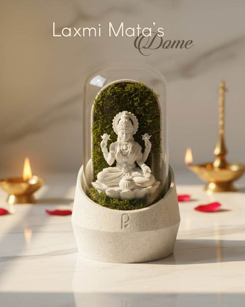 Laxmi Mata's Dome - Perfect Plants