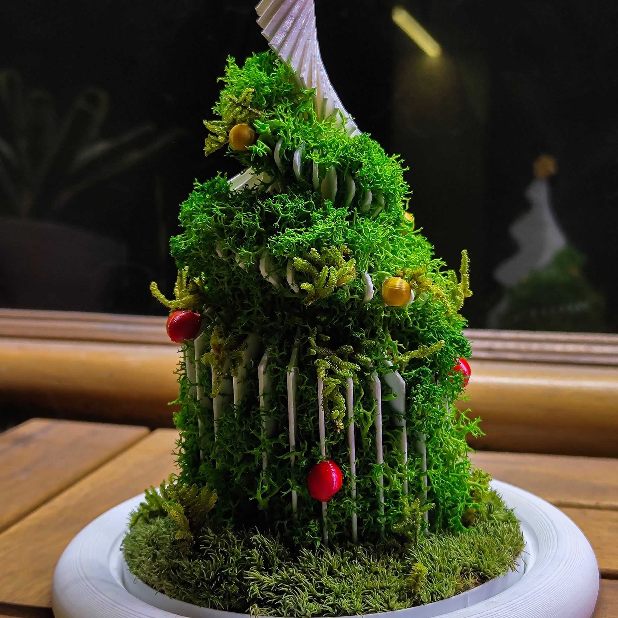 Christmas Dome - Perfect Terrarium