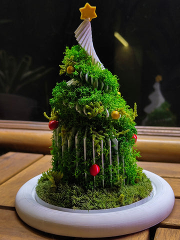 Christmas Dome - Perfect Terrarium