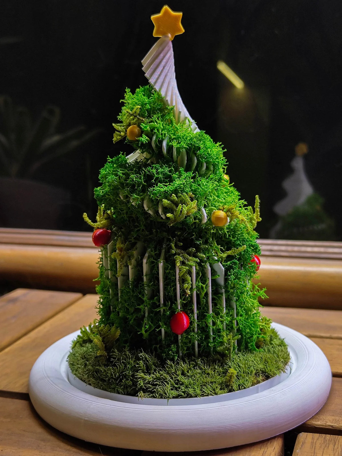 Christmas Dome - Perfect Terrarium