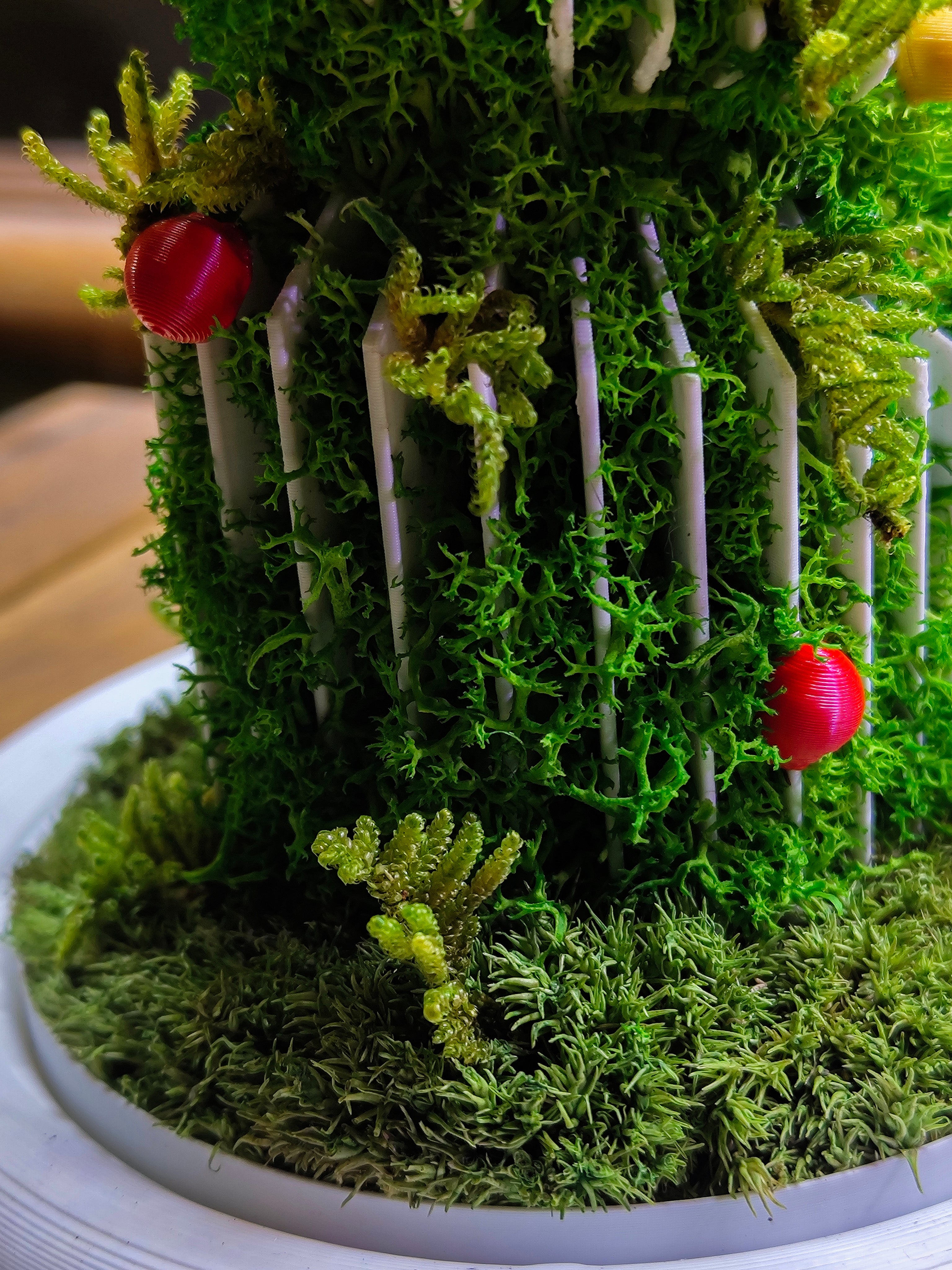 Christmas Dome - Perfect Terrarium