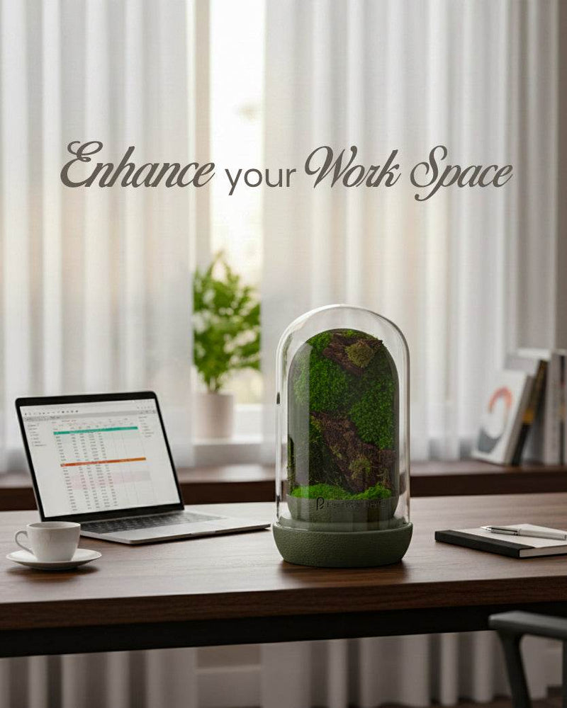 Nature's Dome XL - Perfect Plants